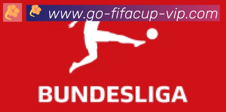 FIFA世界杯赛程官方网站合作伙伴